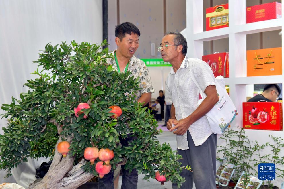娱乐皇朝平台